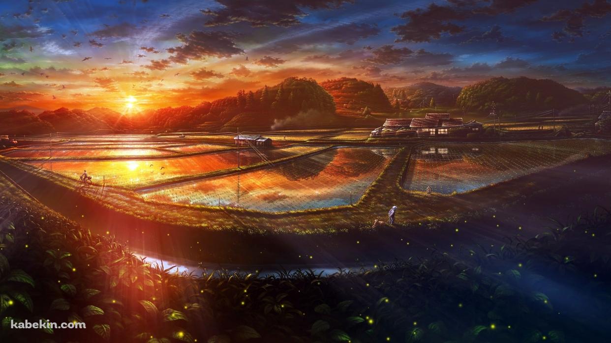 田舎 あぜ道 田んぼ 夕日 お婆さんの壁紙(1242px x 698px) 高画質 PC・デスクトップ用