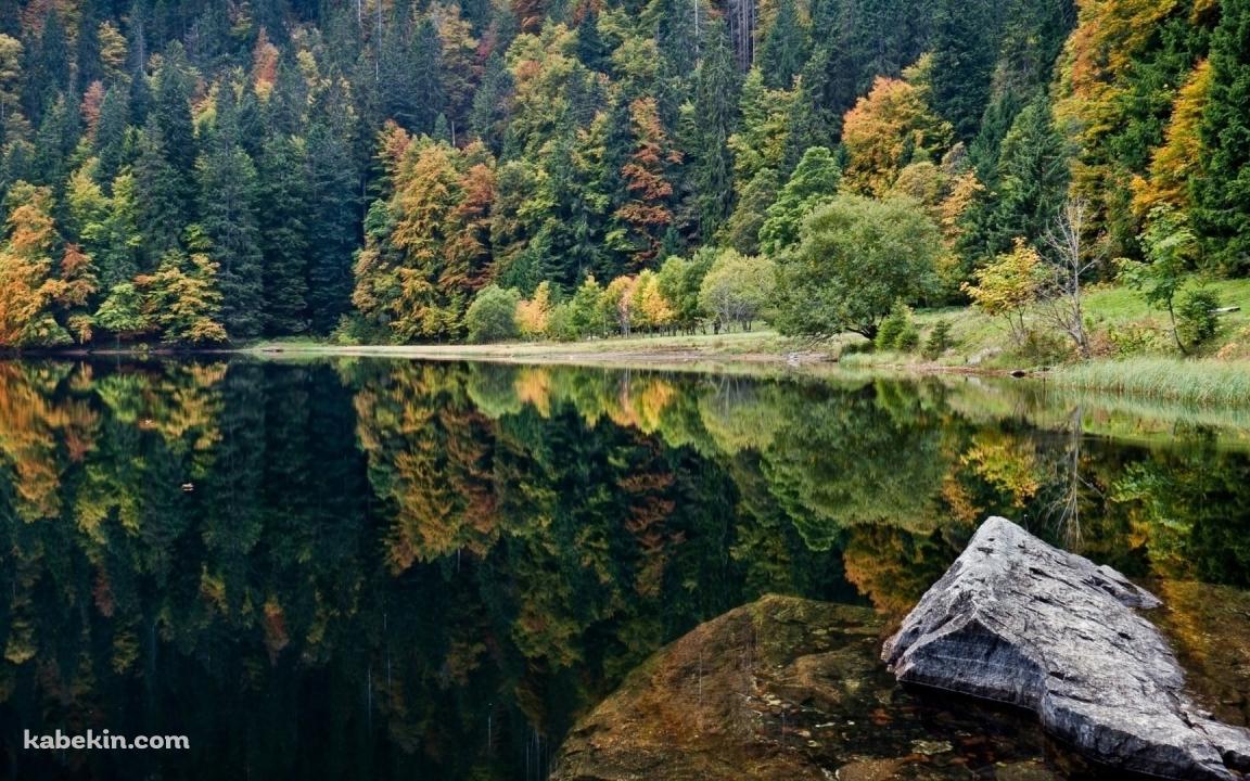 湖に鏡面する森の壁紙(1152px x 720px) 高画質 PC・デスクトップ用