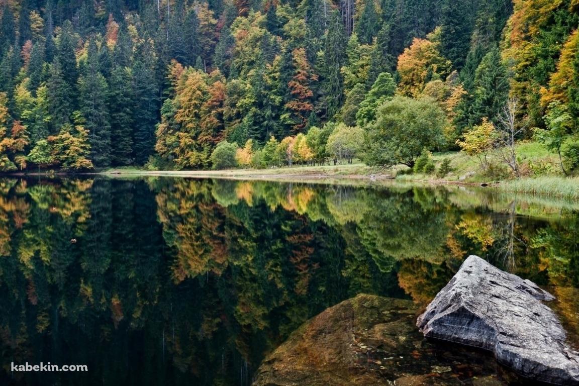 湖に鏡面する森の壁紙(1152px x 768px) 高画質 PC・デスクトップ用
