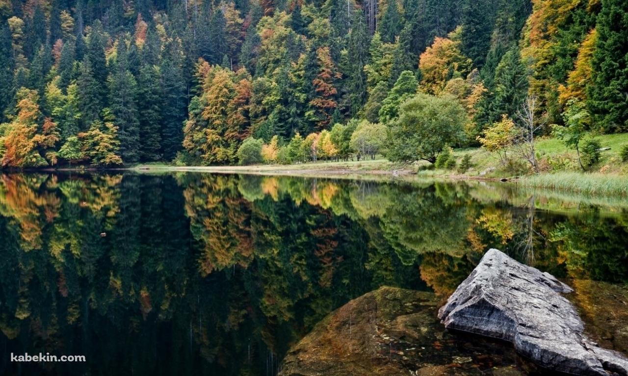 湖に鏡面する森の壁紙(1280px x 768px) 高画質 PC・デスクトップ用