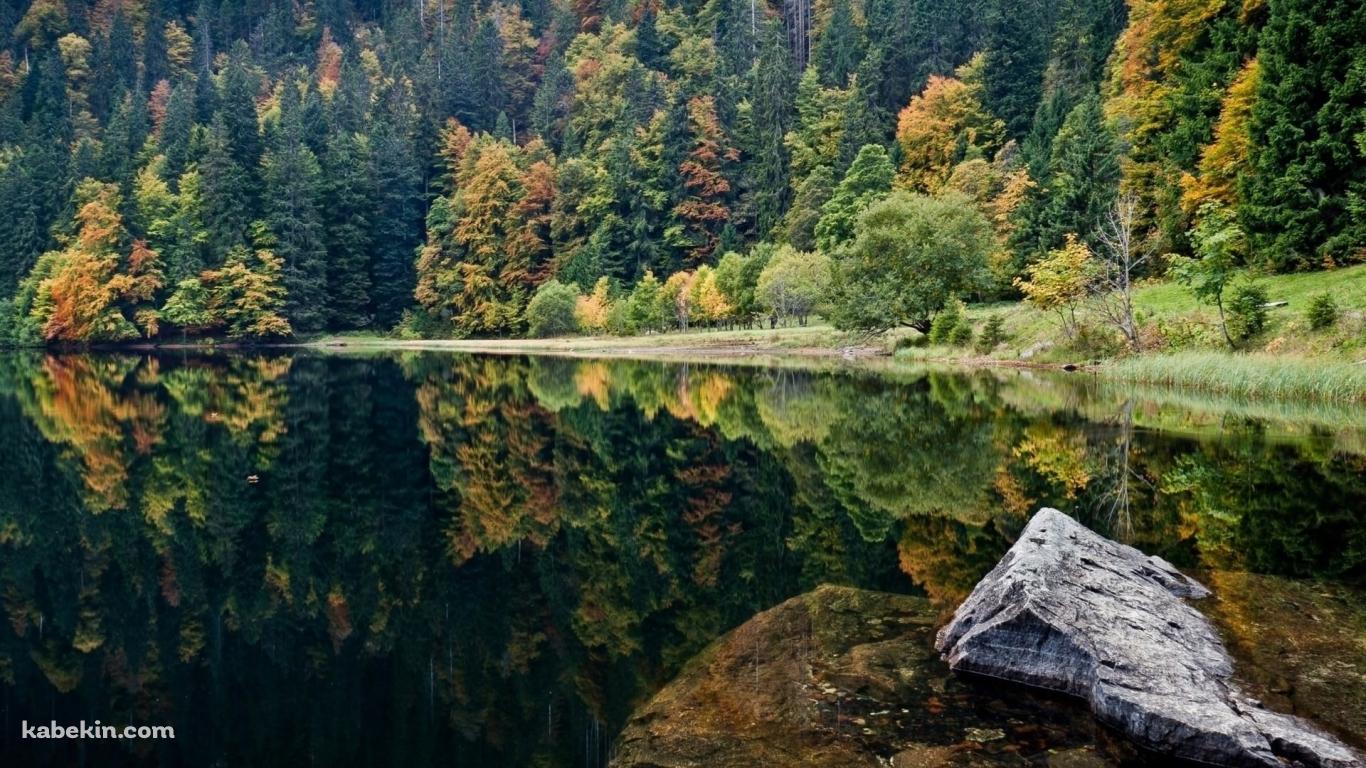 湖に鏡面する森の壁紙(1366px x 768px) 高画質 PC・デスクトップ用