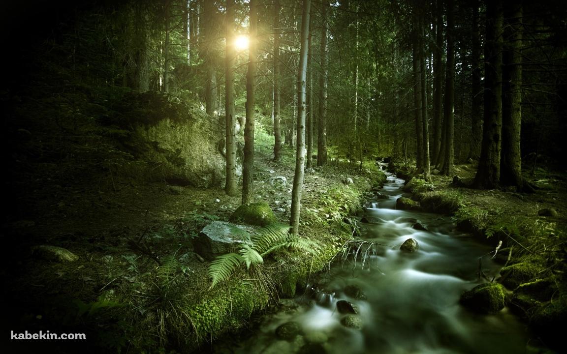 緑の森と渓流の壁紙(1152px x 720px) 高画質 PC・デスクトップ用