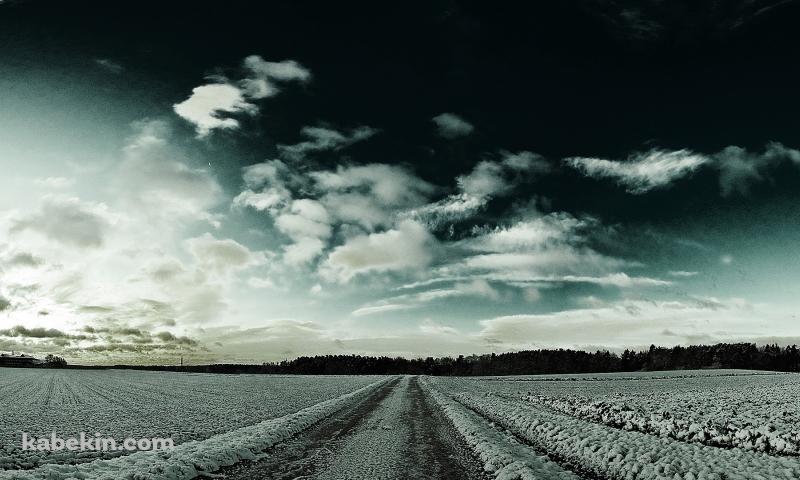極寒の景色の壁紙(800px x 480px) 高画質 PC・デスクトップ用
