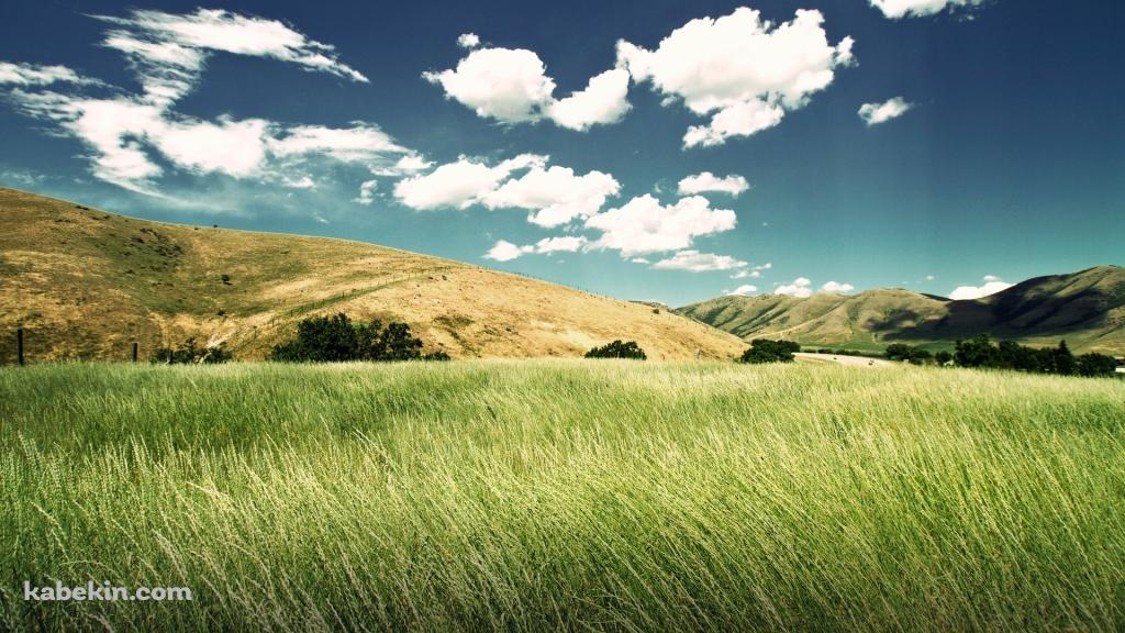 緑の景色の壁紙(1024px x 576px) 高画質 PC・デスクトップ用