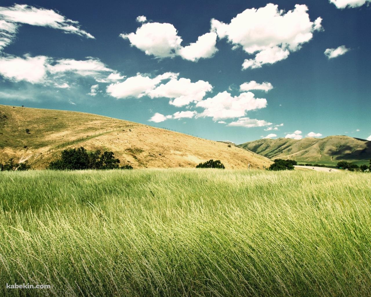 緑の景色の壁紙(1280px x 1024px) 高画質 PC・デスクトップ用