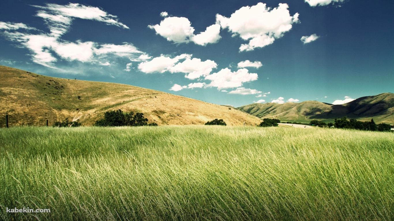 緑の景色の壁紙(1366px x 768px) 高画質 PC・デスクトップ用