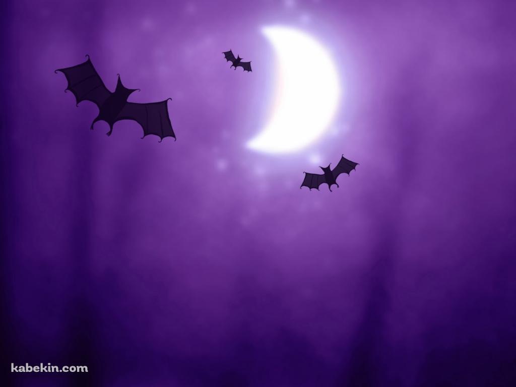 コウモリのイラストの壁紙(1024px x 768px) 高画質 PC・デスクトップ用