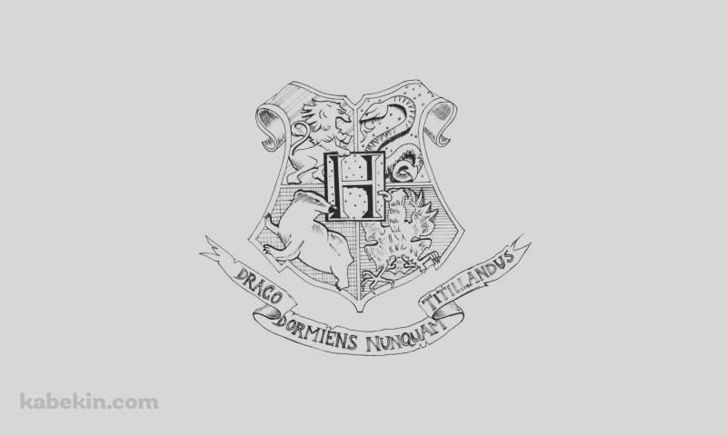 ハリーポッター マークの壁紙(800px x 480px) 高画質 PC・デスクトップ用