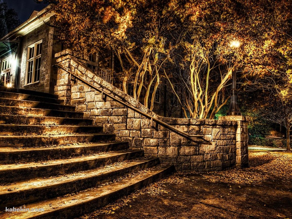 秋 夜の公園の壁紙(1152px x 864px) 高画質 PC・デスクトップ用