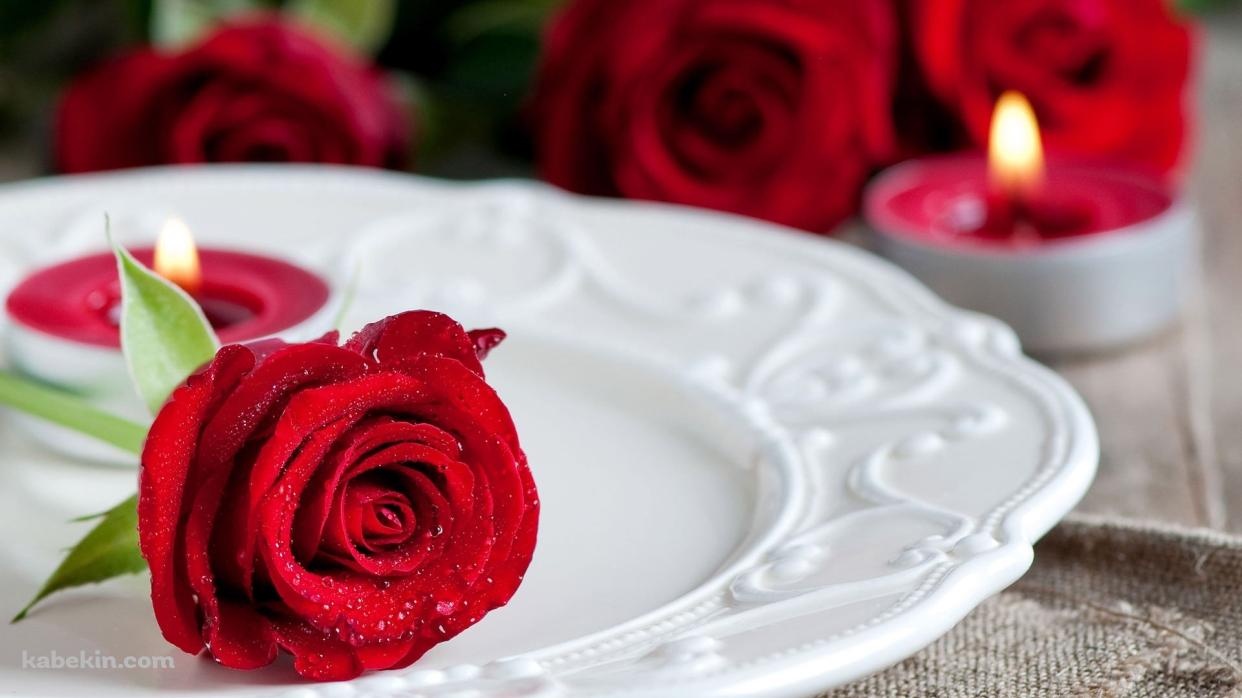 白い皿にのった薔薇の壁紙(1242px x 698px) 高画質 PC・デスクトップ用