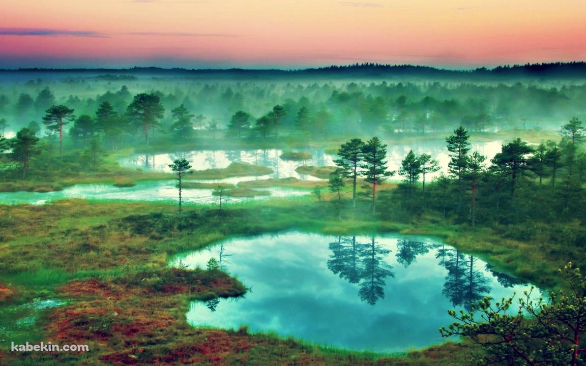 湿地帯の壁紙(1152px x 720px) 高画質 PC・デスクトップ用