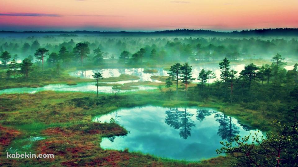 湿地帯の壁紙(960px x 540px) 高画質 PC・デスクトップ用