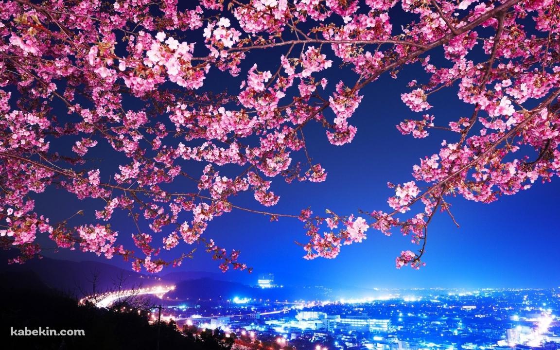 夜桜の壁紙(1152px x 720px) 高画質 PC・デスクトップ用