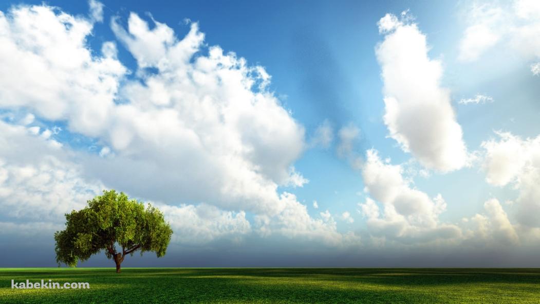 晴天の草原の壁紙(1051px x 591px) 高画質 PC・デスクトップ用