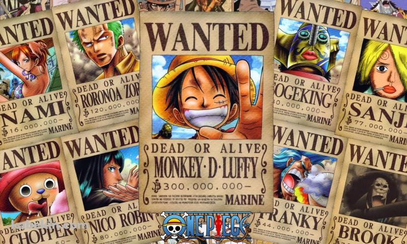 ワンピース WANTEDの壁紙(800px x 480px) 高画質 PC・デスクトップ用