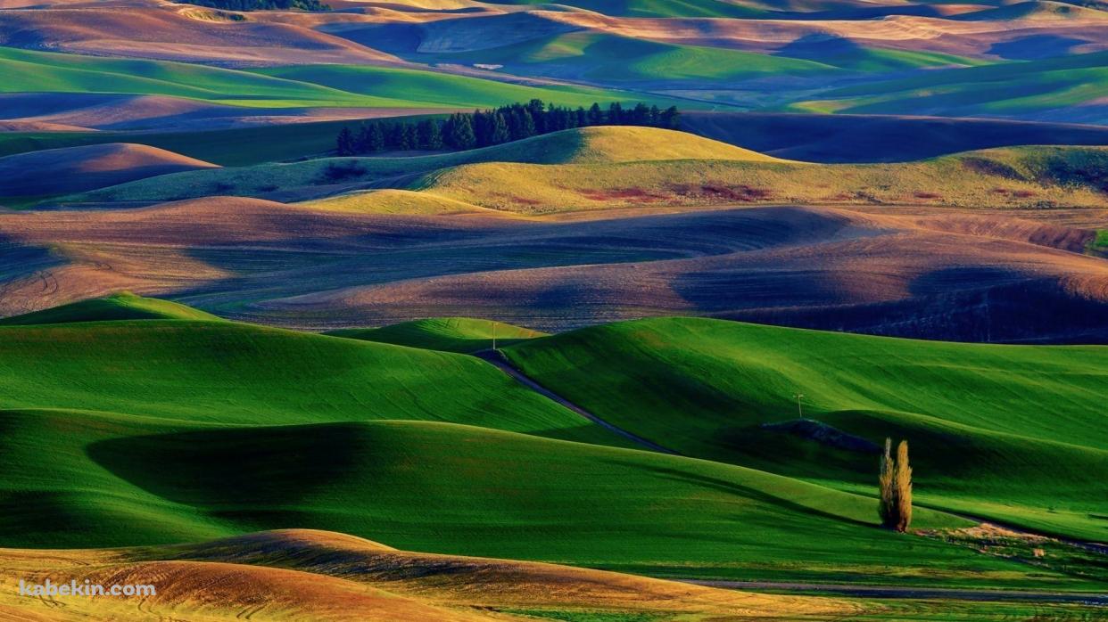 カラフルな大自然の壁紙(1242px x 698px) 高画質 PC・デスクトップ用