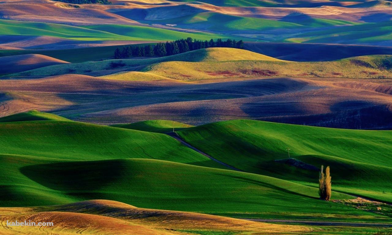 カラフルな大自然の壁紙(1280px x 768px) 高画質 PC・デスクトップ用