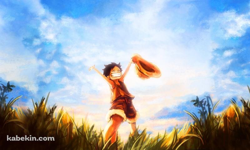 万歳するルフィ ONE PIECE ワンピースの壁紙(800px x 480px) 高画質 PC・デスクトップ用
