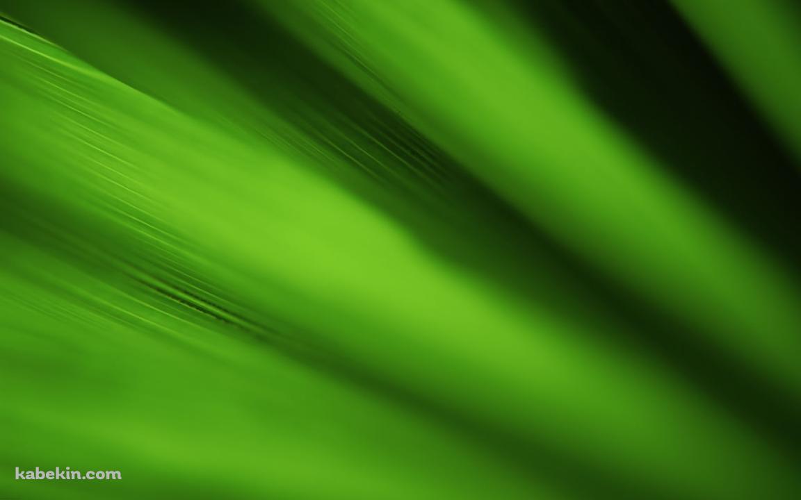 ボヤけた葉の表面の壁紙(1152px x 720px) 高画質 PC・デスクトップ用