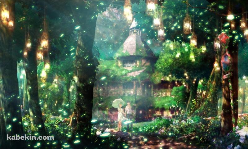 森林 カップルの壁紙(800px x 480px) 高画質 PC・デスクトップ用