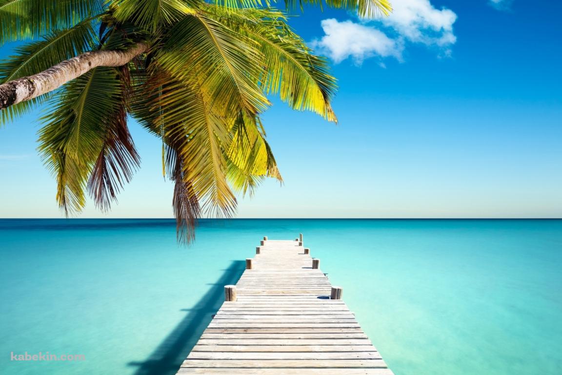 椰子の木と海へ続く桟橋の壁紙(1152px x 768px) 高画質 PC・デスクトップ用