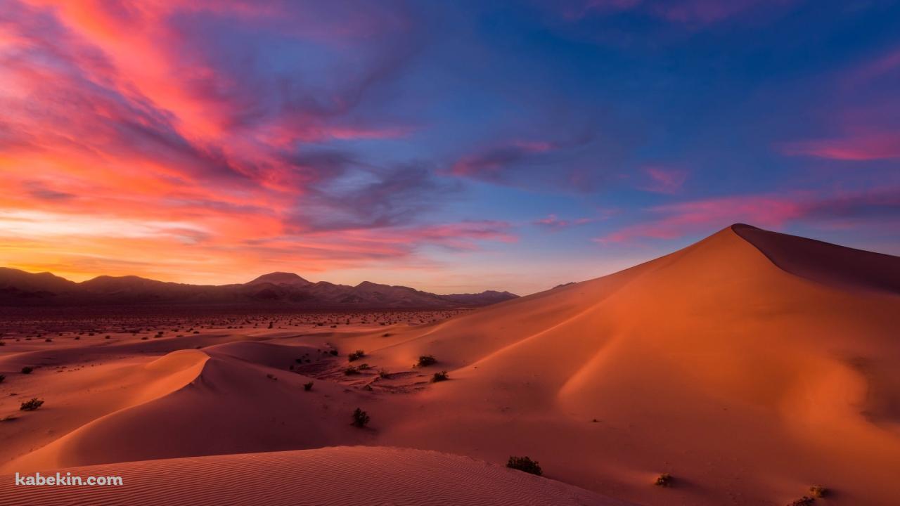 夕暮れ時の砂漠の壁紙(1280px x 720px) 高画質 PC・デスクトップ用