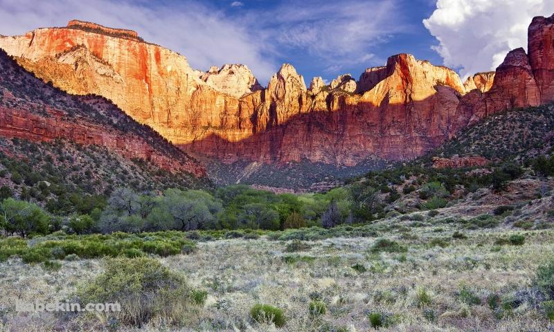 アメリカの国立公園の壁紙(800px x 480px) 高画質 PC・デスクトップ用