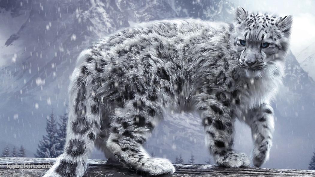 ユキヒョウの壁紙(1051px x 591px) 高画質 PC・デスクトップ用