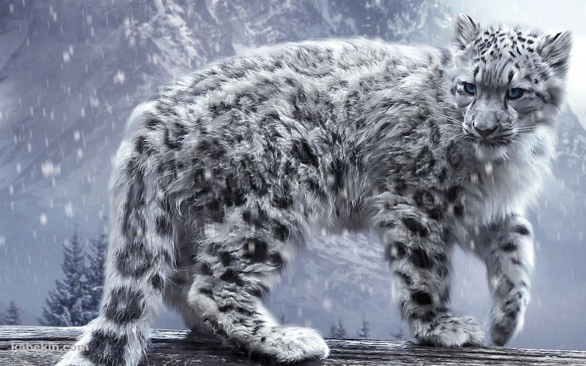 ユキヒョウの壁紙(1152px x 720px) 高画質 PC・デスクトップ用