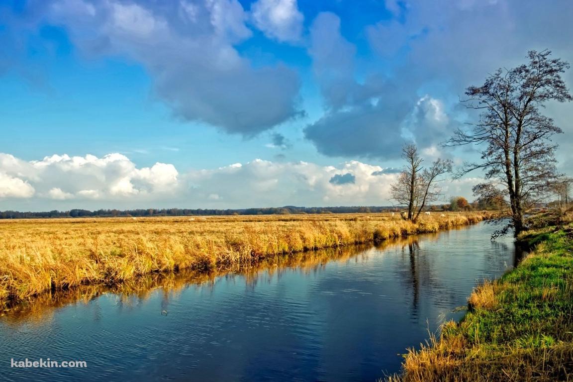 田舎の川沿いの壁紙(1152px x 768px) 高画質 PC・デスクトップ用