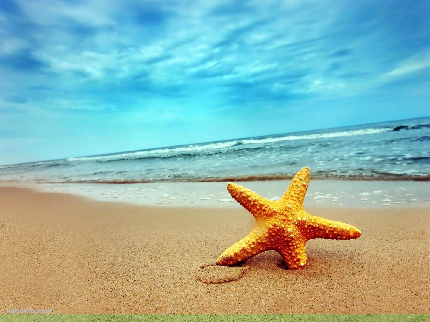 ヒトデと海の壁紙(1440px x 1080px) 高画質 PC・デスクトップ用