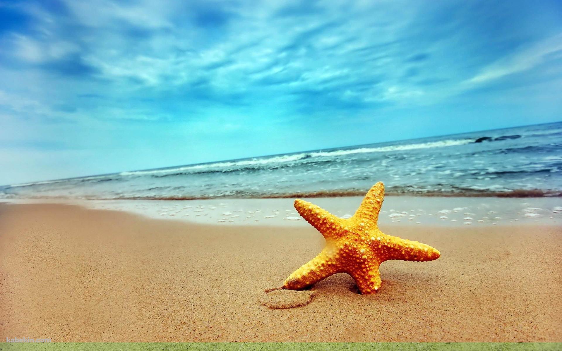 ヒトデと海の壁紙(1920px x 1200px) 高画質 PC・デスクトップ用