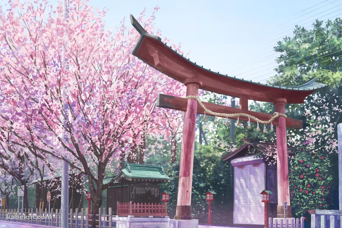 神社 鳥居 桜の壁紙(1152px x 768px) 高画質 PC・デスクトップ用