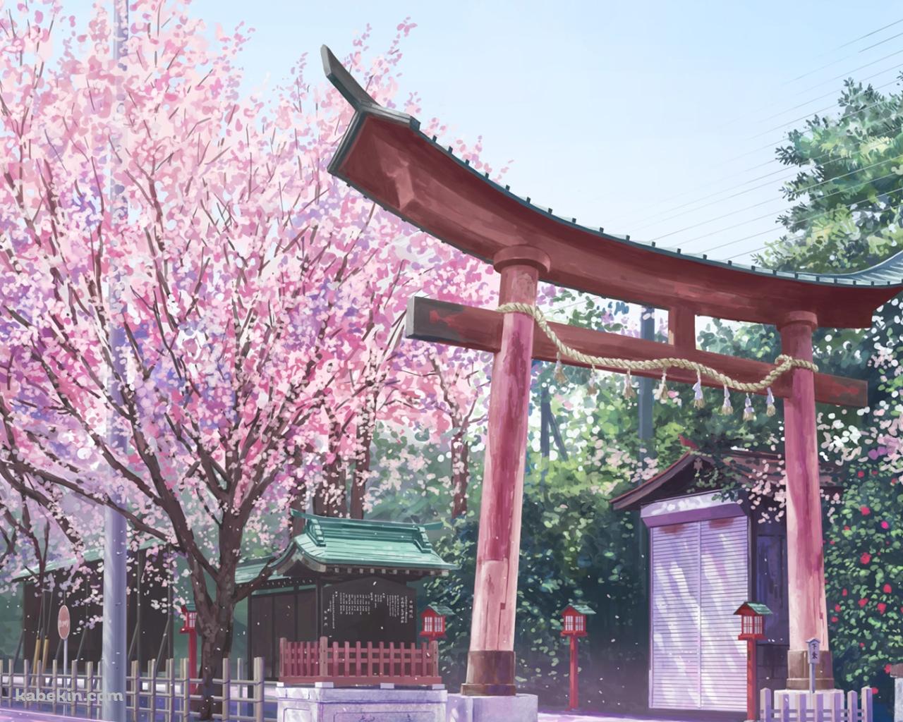 神社 鳥居 桜の壁紙(1280px x 1024px) 高画質 PC・デスクトップ用