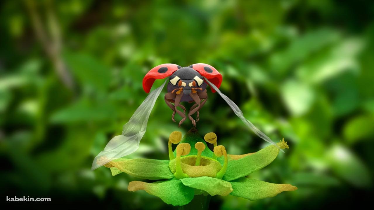 テントウムシ CGの壁紙(1280px x 720px) 高画質 PC・デスクトップ用