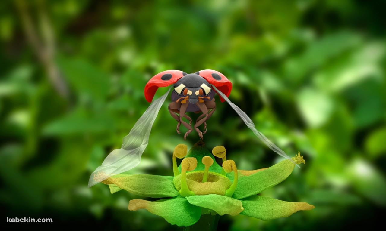 テントウムシ CGの壁紙(1280px x 768px) 高画質 PC・デスクトップ用
