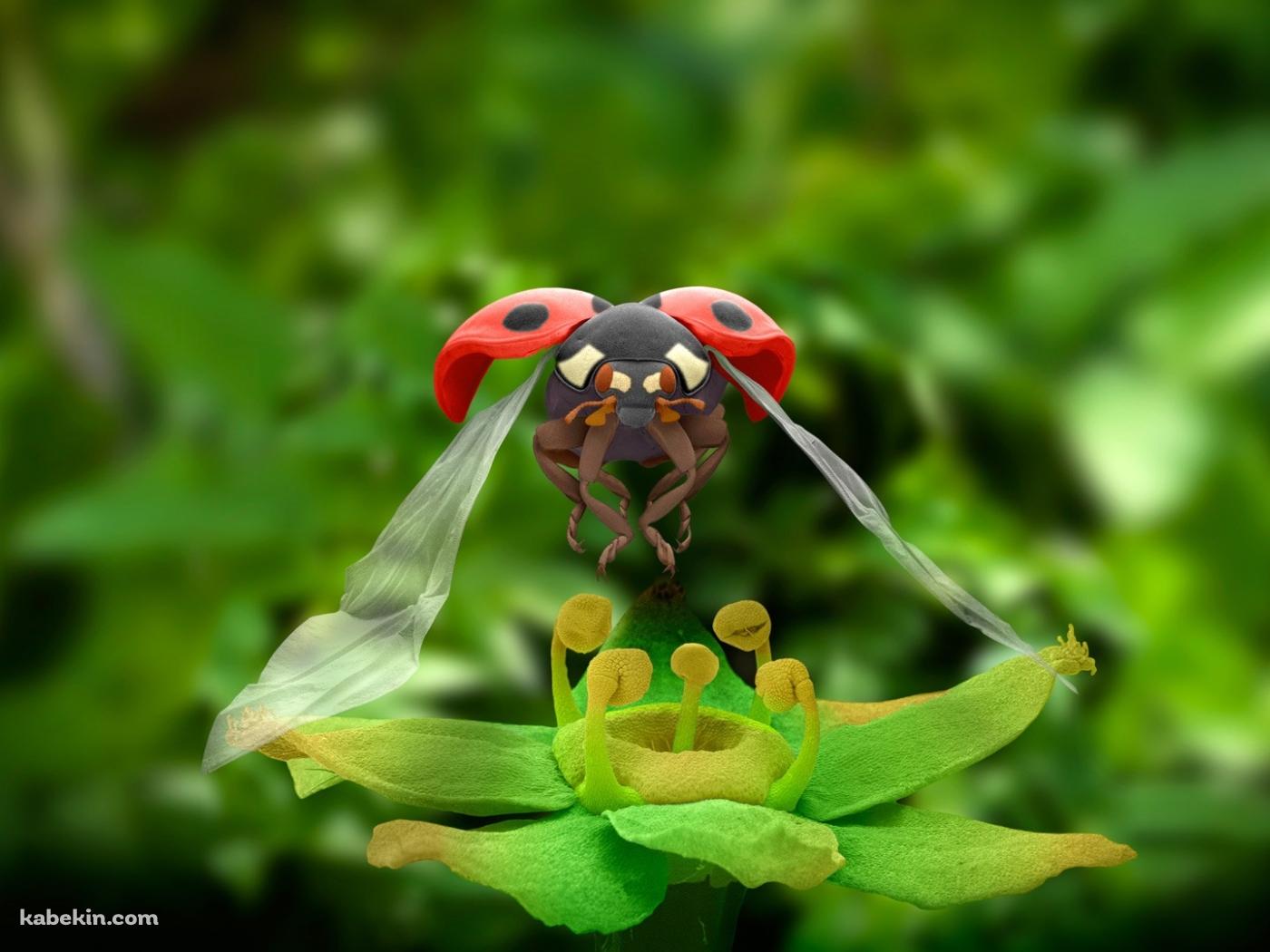 テントウムシ CGの壁紙(1400px x 1050px) 高画質 PC・デスクトップ用