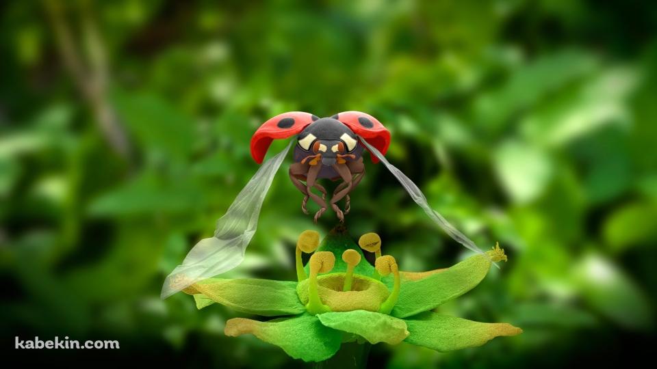 テントウムシ CGの壁紙(960px x 540px) 高画質 PC・デスクトップ用