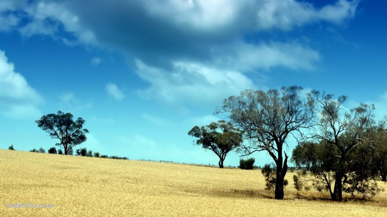 枯れ地と青空の壁紙(1242px x 698px) 高画質 PC・デスクトップ用