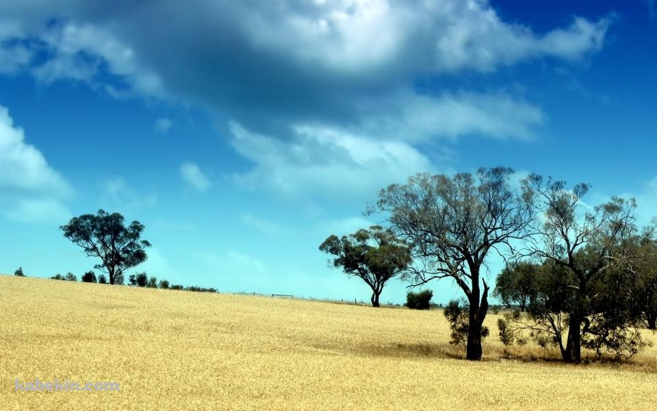 枯れ地と青空の壁紙(960px x 600px) 高画質 PC・デスクトップ用