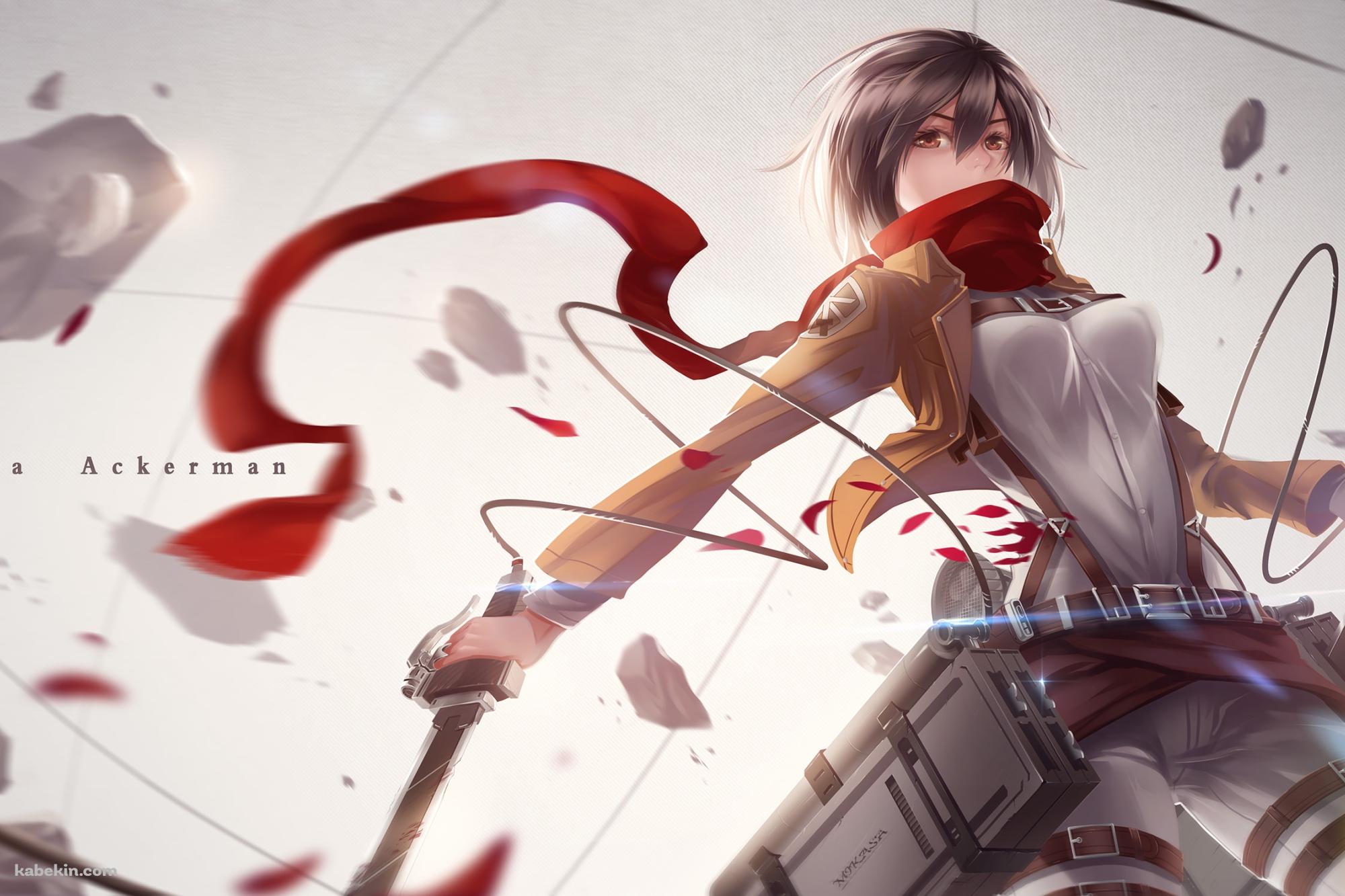 進撃の巨人 Shingeki no Kyojin ミカサの壁紙(2000px x 1333px) 高画質 PC・デスクトップ用