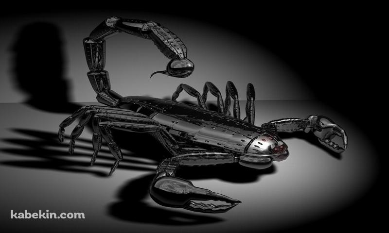 メタルスコーピオンの壁紙(800px x 480px) 高画質 PC・デスクトップ用