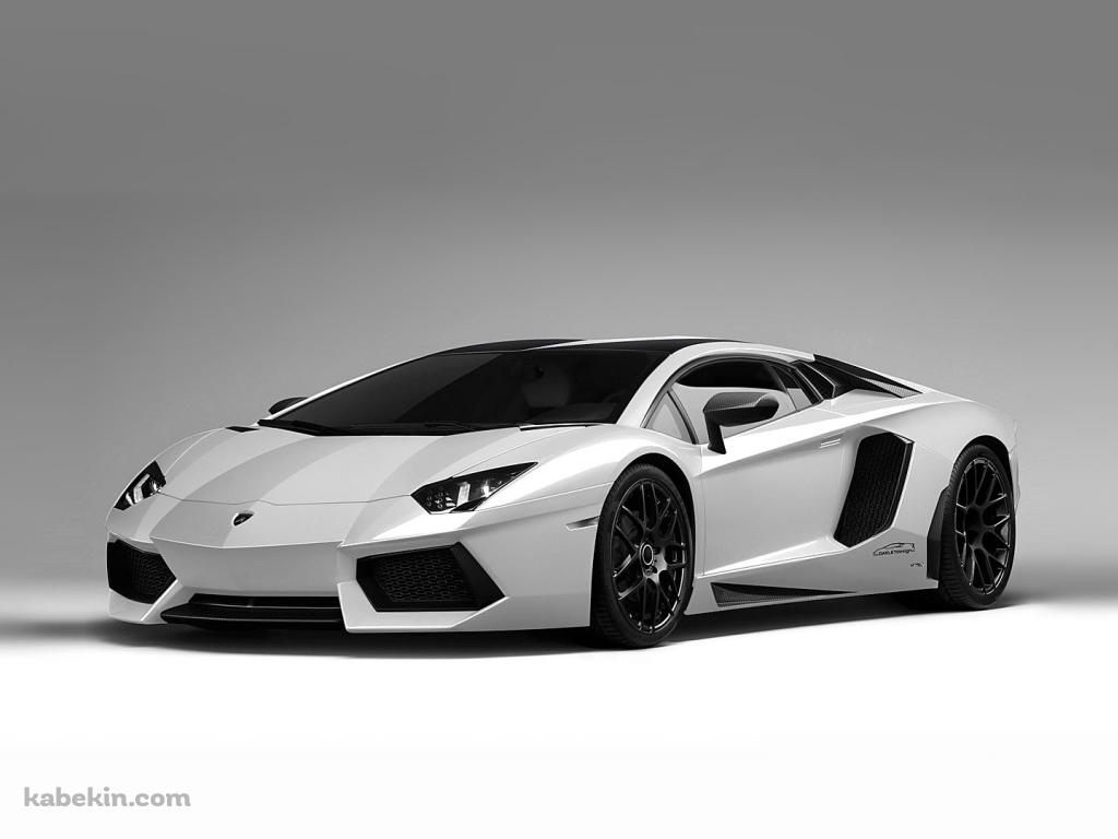 White lamborghiniの壁紙(1024px x 768px) 高画質 PC・デスクトップ用