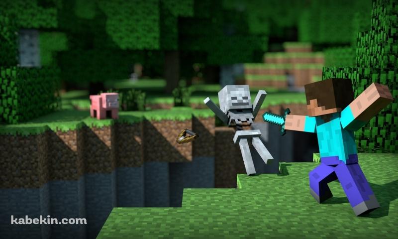 マインクラフト スケルトン マイクラ 戦闘 バトルの壁紙(800px x 480px) 高画質 PC・デスクトップ用