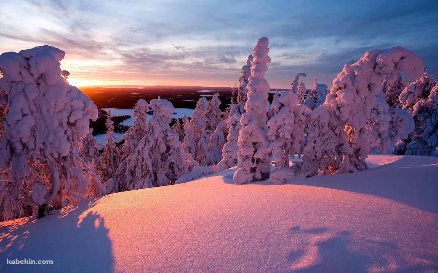 雪に包まれた景色の壁紙(1440px x 900px) 高画質 PC・デスクトップ用
