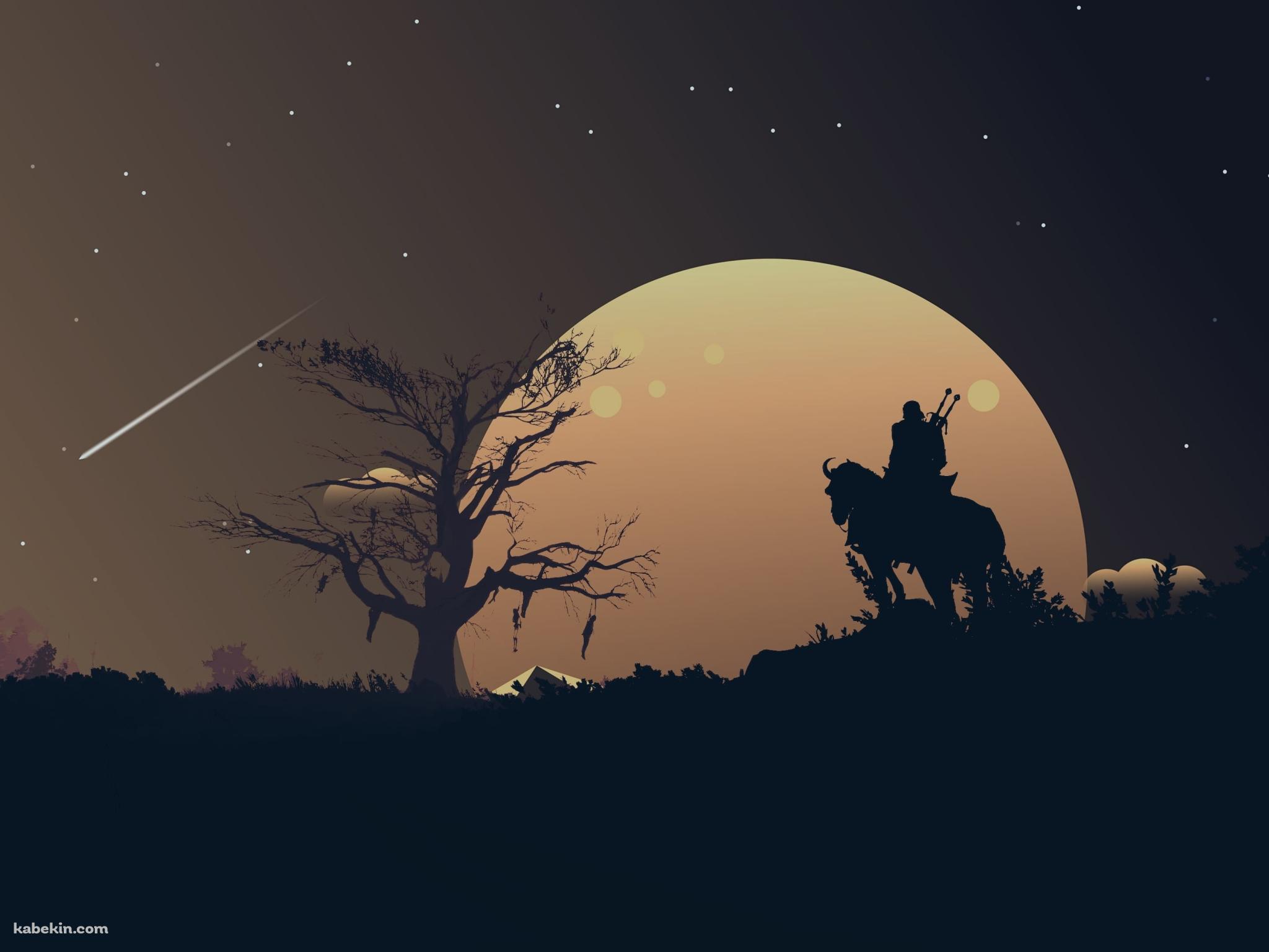 ウィッチャー3 ワイルドハント 夜 星の壁紙(2048px x 1536px) 高画質 PC・デスクトップ用