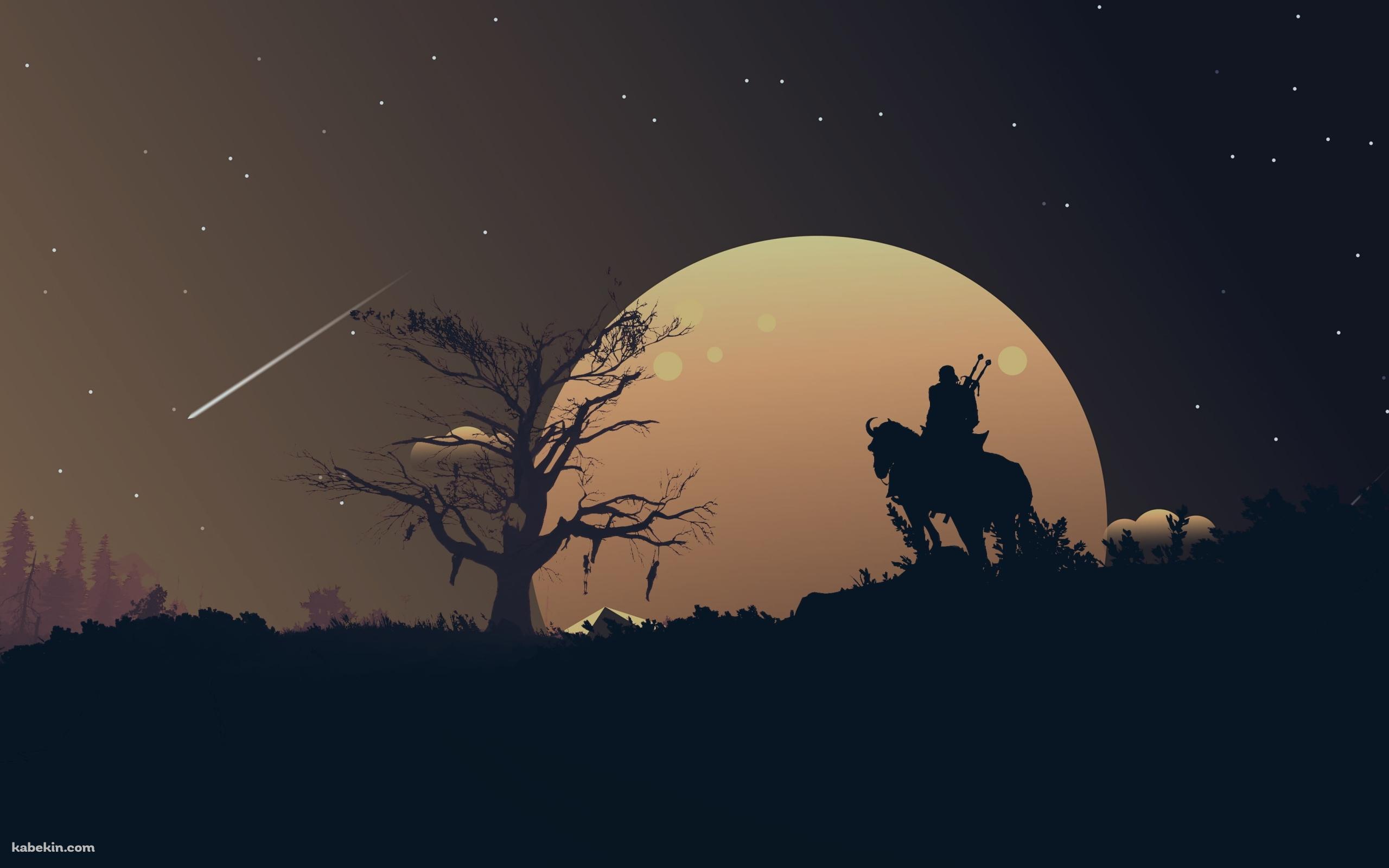 ウィッチャー3 ワイルドハント 夜 星の壁紙(2560px x 1600px) 高画質 PC・デスクトップ用