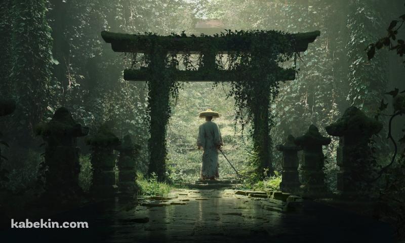 かっこいい侍と苔むした鳥居の壁紙(800px x 480px) 高画質 PC・デスクトップ用