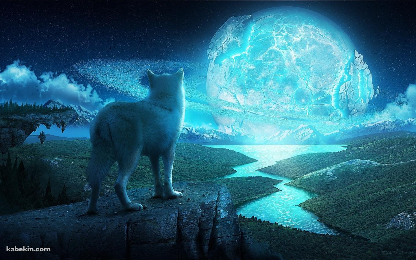 月を観る狼の壁紙(1440px x 900px) 高画質 PC・デスクトップ用