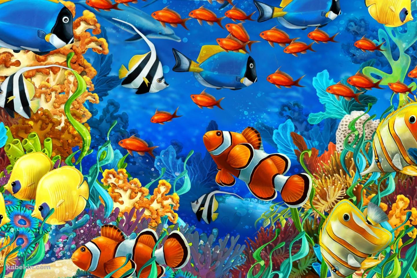 熱帯魚 水族館の壁紙(1440px x 960px) 高画質 PC・デスクトップ用